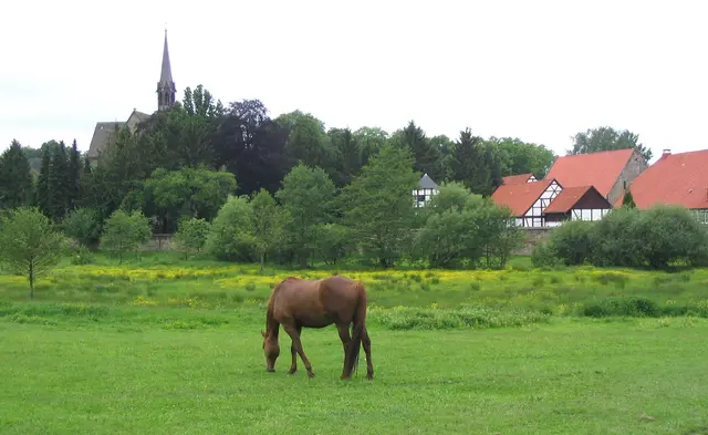 Wer noch mehr Historisches erleben möchte, kann das keine 10 Kilometer entfernte Kloster Loccum besuchen.
