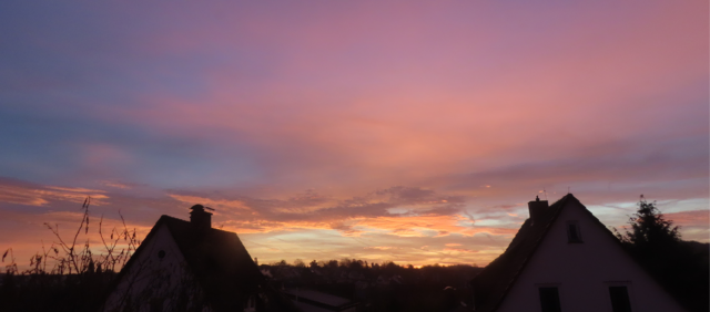 Ausschnitt aus dem Original-Foto. | Foto: M. A.