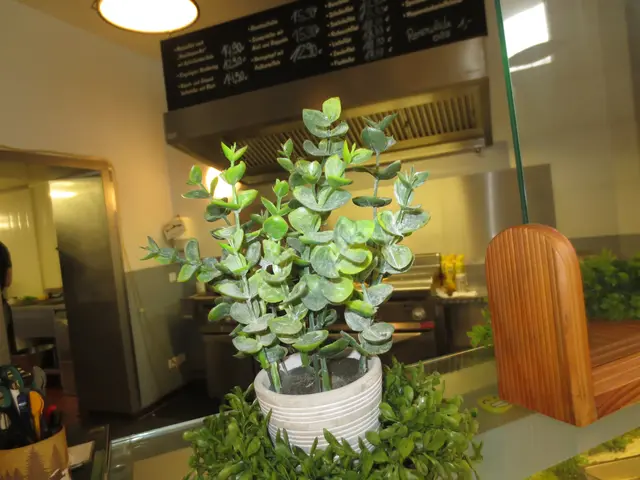 Auch so ein Blumentopf passt hier gut hin.