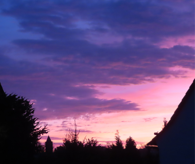 Ausschnitt aus dem Original-Foto. | Foto: M. A.