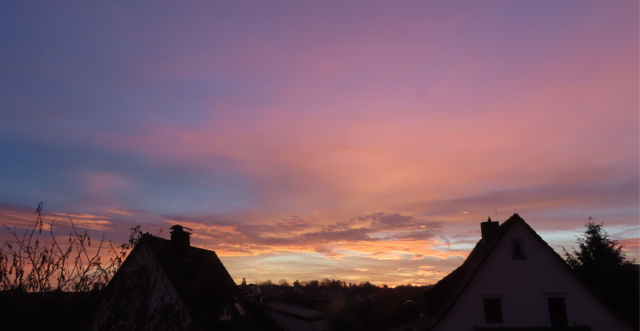 Ausschnitt aus dem Original-Foto. | Foto: M. A.