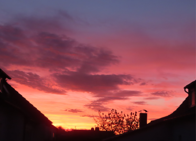 Ausschnitt aus dem Original-Foto. | Foto: M. A.