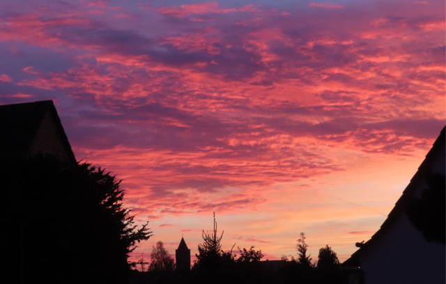 Ausschnitt aus dem Original-Foto. | Foto: M. A.