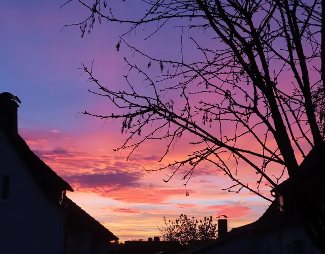 Ausschnitt aus dem Original-Foto. | Foto: M. A.