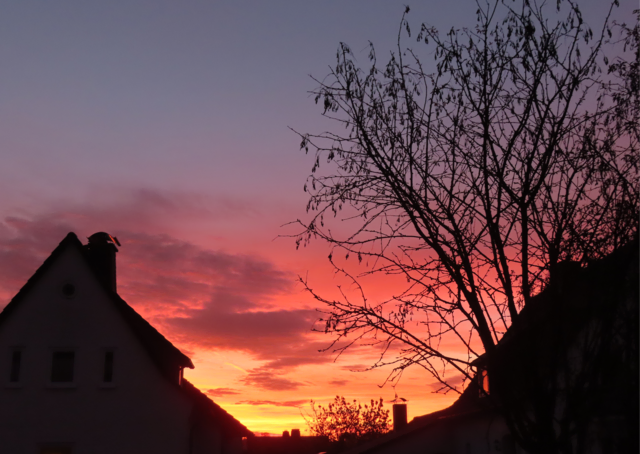 Ausschnitt aus dem Original-Foto. | Foto: M. A.