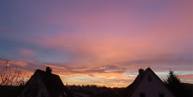 Ausschnitt aus dem Original-Foto. | Foto: M. A.