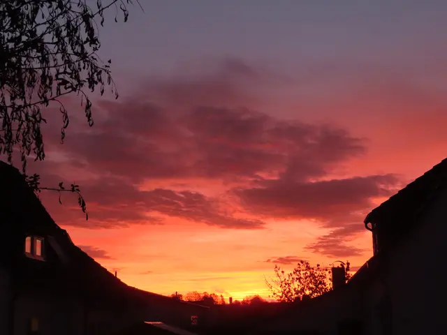 Ausschnitt aus dem Original-Foto. | Foto: M. A.