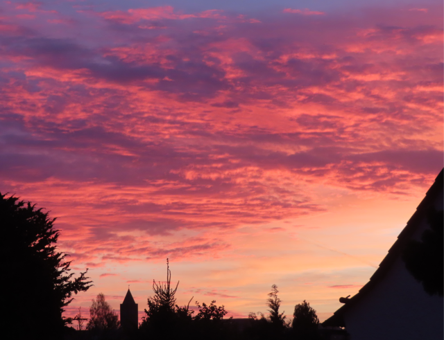 Ausschnitt aus dem Original-Foto. | Foto: M. A.