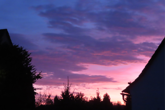 Ausschnitt aus dem Original-Foto. | Foto: M. A.