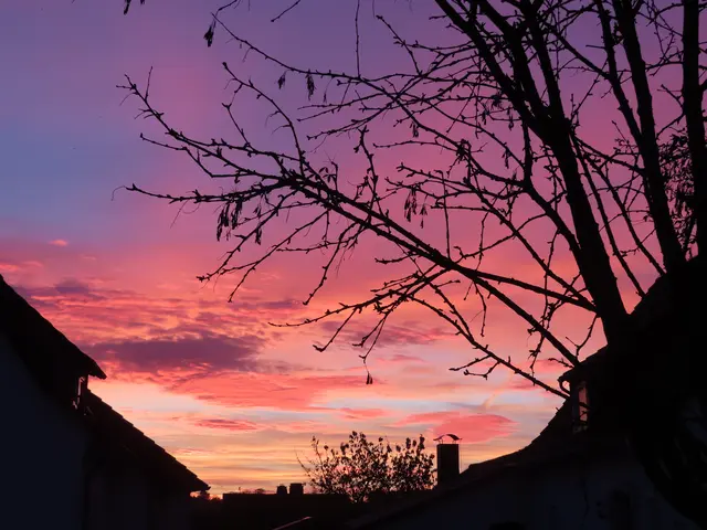 Ausschnitt aus dem Original-Foto. | Foto: M. A.