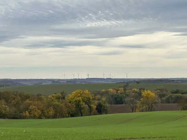 Windräder am Horizont