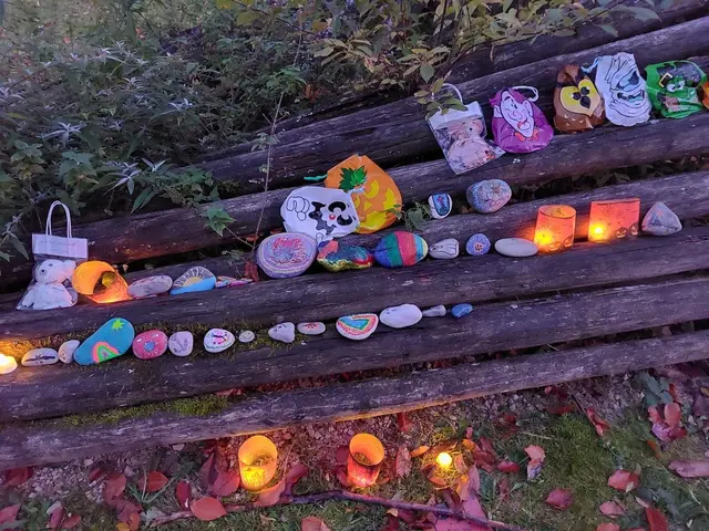 Die bunten Steine der Kinder erleuchten den Stadtgarten. | Foto: SPD Friedberg 