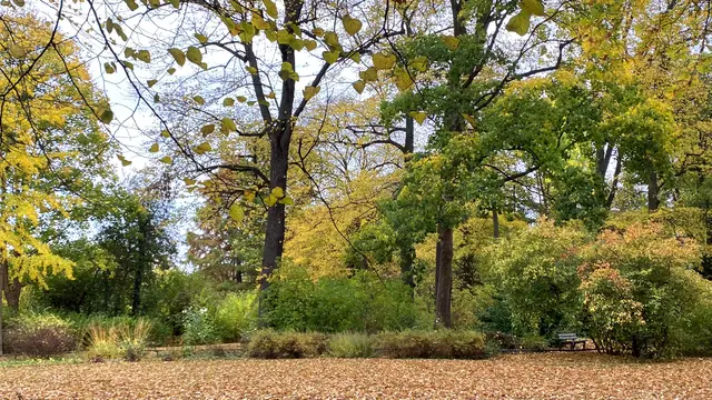 Als erste städtische Parkanlage entstand 1815 der Lindengarten. Foto: Helmut Kuzina