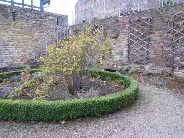 Rosengarten 2025-44, 02.11.2025.