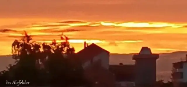 Foto: Iris Alefelder