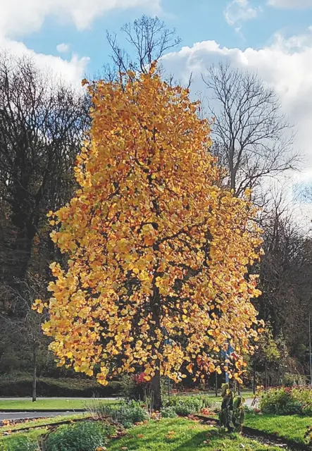 Original-Foto | Foto: M. A.