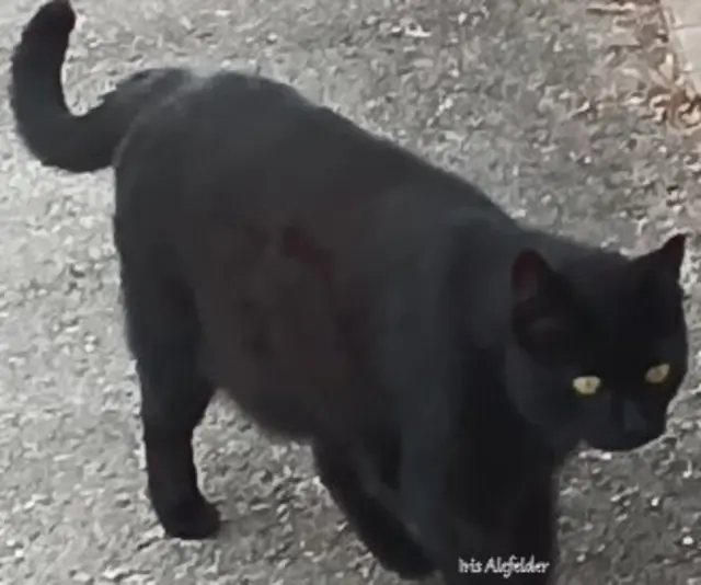 Foto: Iris Alefelder