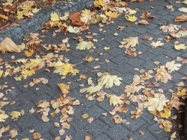 Foto: Iris Alefelder