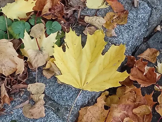 Foto: Iris Alefelder