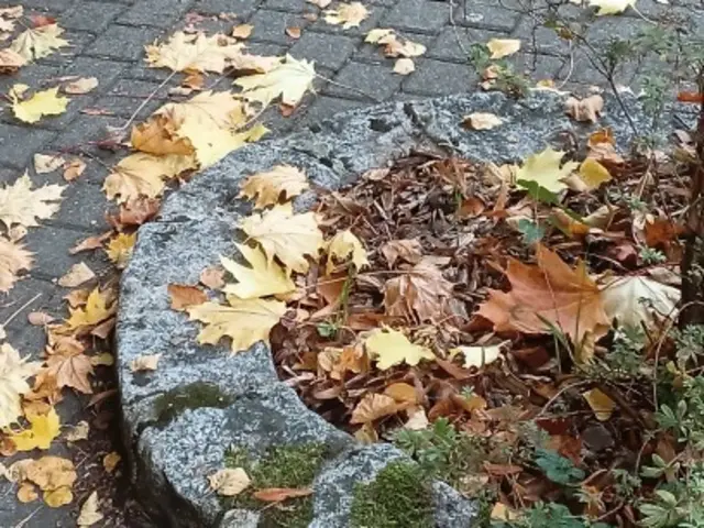 Foto: Iris Alefelder