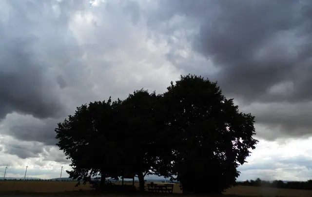 Der Schwarze Busch in der gottverlassenen Gegend zwischen Koldingen und Ruthe ist ein mystischer Ort. 
Einst zog ein Raubritter plündernd durch das Calenberger Land. Als er einmal von einer Hochzeitsfeier kam, wurde er auf dem Weg zu Freunden an dieser Stelle gefasst.  | Foto: Kurt Wolter