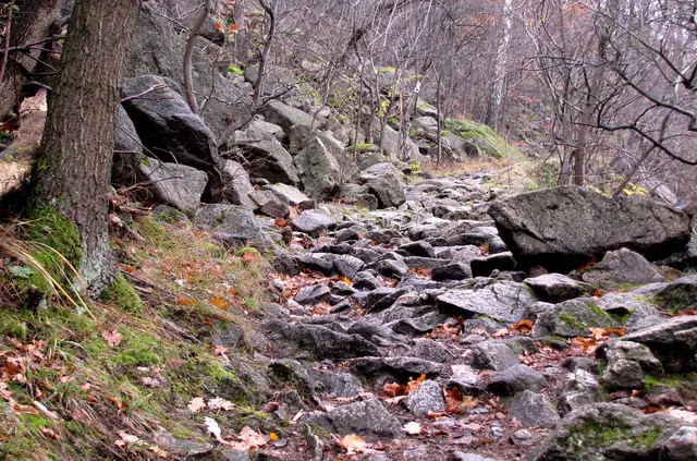 Ein steiniger Weg führt aus der Schlucht des Bodetals zum Hexentanzplatz hinauf.  | Foto: Kurt Wolter