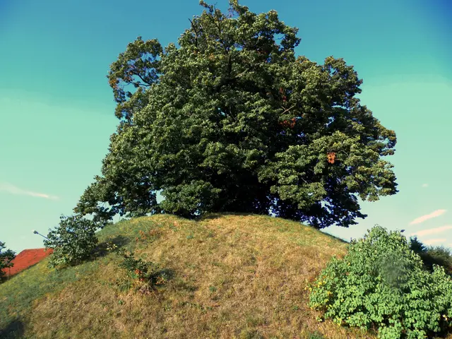 In dem Dorf Evessen am Fuß des Elm befindet sich ein uralter Grabhügel, ein Tumulus. Vermutlich diente er einem Fürsten als letzte Ruhestätte. Archäologisch ist er noch nicht erforscht. Zwei weitere Hügel gehörten einst dazu, die leider abgetragen wurden.  | Foto: Kurt Wolter
