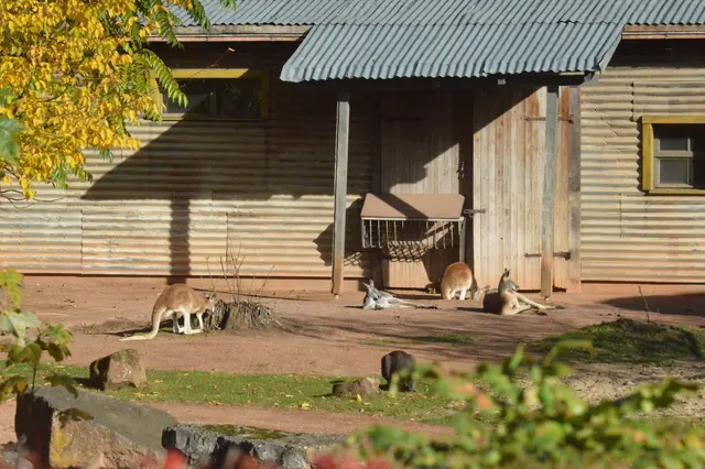 In Australien ist jetzt Frühling