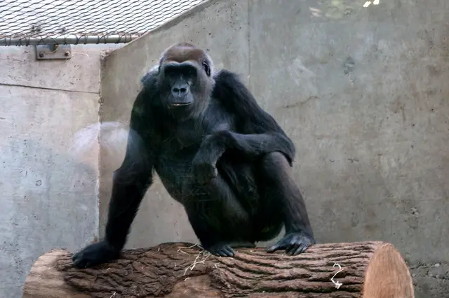Im Tropenhaus lässt es sich aushalten