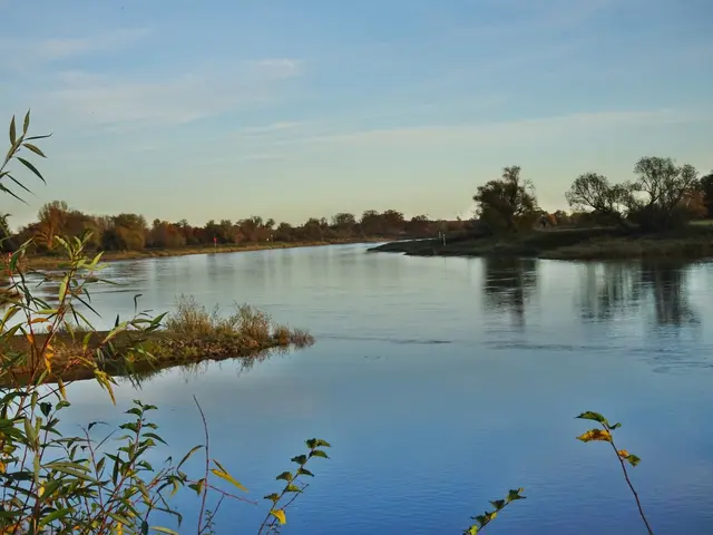 Hier kann man sehen die Elbe ist wieder gut gefüllt.