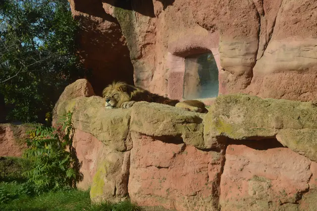 Der alte will schlafen