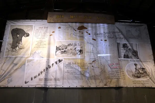 Geht man in Henrys Underwaterworld gibt es viel Interessantes zu lesen