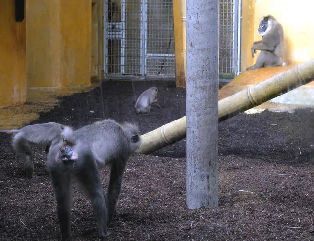 Drill aber nicht beim Militär