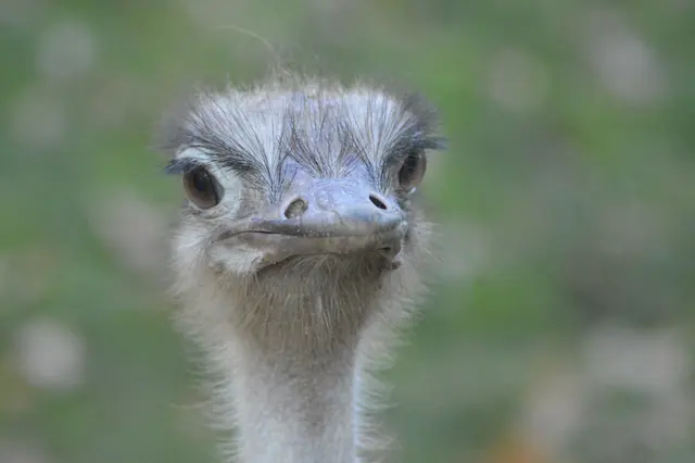 Willkommen im Erlebniszoo Hannover