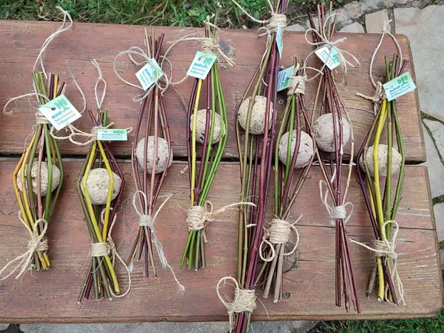 Meisenknödelhalter | Foto: Foto Claudia Wegele