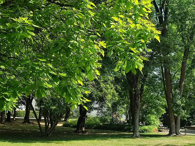 Engagement für den Nogent-Park
"Retten wir die Bäume im Nogent-Park" | Foto: Foto Claudia Wegele