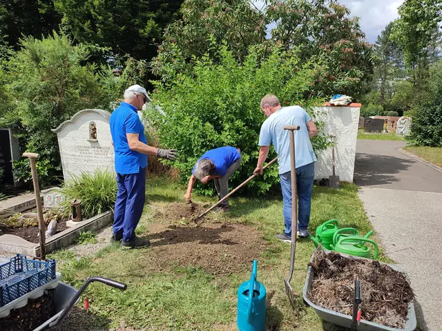 Gesammelte Blumenzwiebel wurden wieder eingepflanzt | Foto: Foto Claudia Wegele