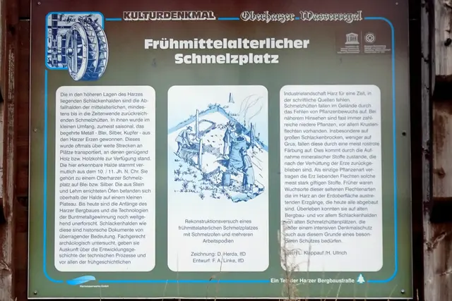 solche Abfallhalden kann man leicht an vielen Stellen, aufgrund der dortigen Vegetation, im Harz finden