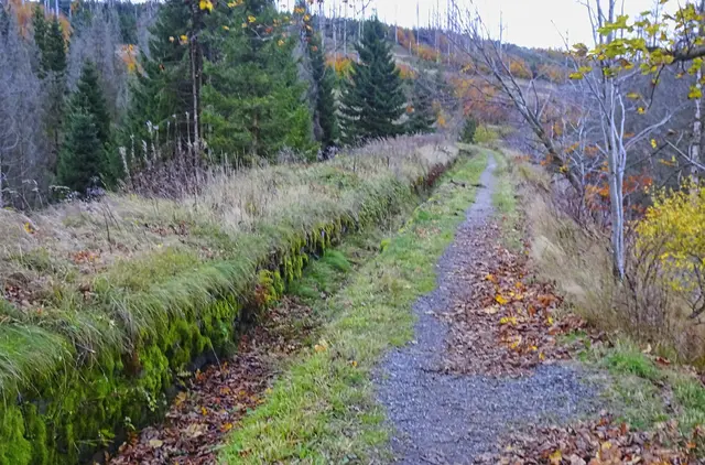 Wanderweg am Hutthaler Graben