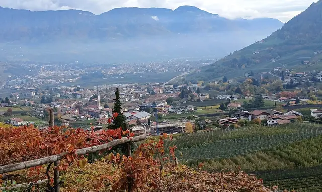 Blick vom Waalwanderweg ins Tal | Foto: Peter Heider