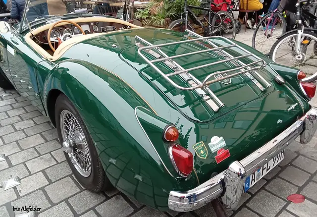 Foto: Iris Alefelder