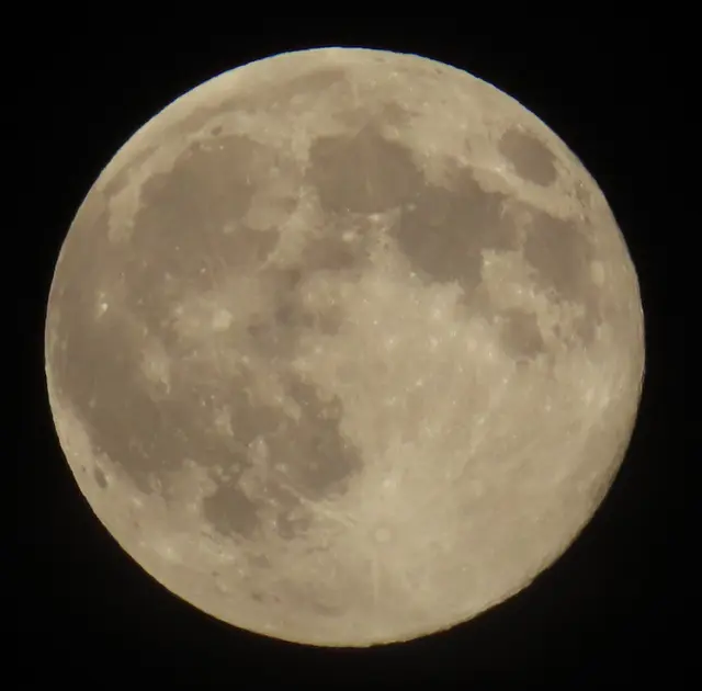 Ausschnitt aus dem Original-Foto. | Foto: M. A.