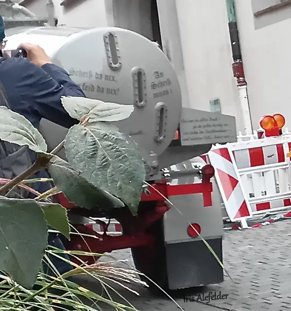 Foto: Iris Alefelder