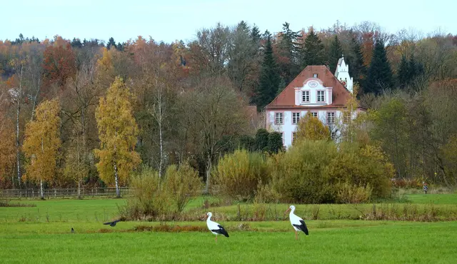 OKTOBER:
Herbstliche Kulisse in den Schmutterwiesen bei Hainhofen