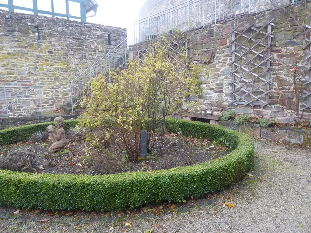 Rosengarten 2025-45, 09.11.2025.