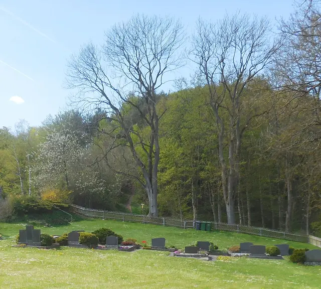 Die Klosterruine mit dem Friedhof von Ober-Werbe (05.05.2016). | Foto: M. A.