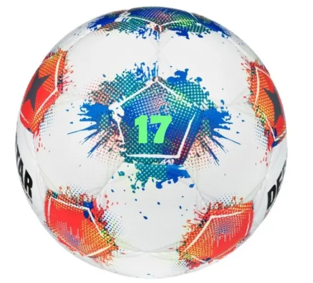 17. Spieltag der Bundesligasaison 2025/26.