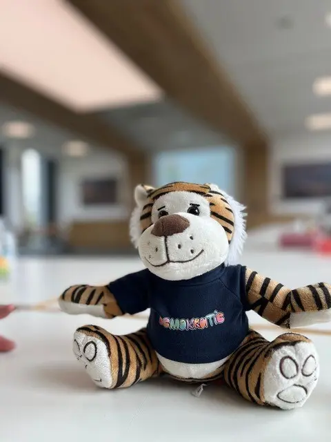 Der "DemokraTIGER" soll symbolisieren, dass Demokratie Mut, Stärke und  Zusammenhalt braucht. Jede der teilnehmenden Klassen erhielt eines der Plüschtiere. | Foto: Landratsamt Dillingen a.d.Donau