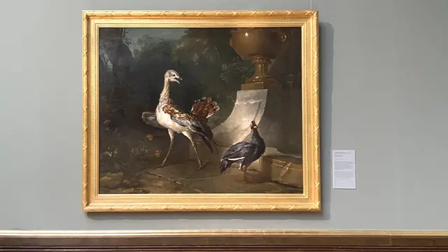 „Trappe und Perlhuhn“ von Jean-Baptiste Oudry (1686 – 1755) aus dem Jahr 1739. Oudry hat die Trappe in ihrem typischen Balzverhalten dargestellt. Auch das afrikanische Perlhuhn agiert wie eine Schauspielerin auf einer Bühne eins Parks. Foto: Helmut Kuzina