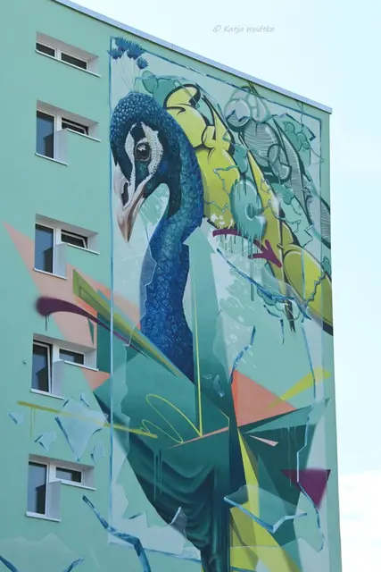 Streetart in Deutschland (Foto: Katja Woidtke)

Auf Graffiti-Tour durch Paderborn | Foto: Katja Woidtke